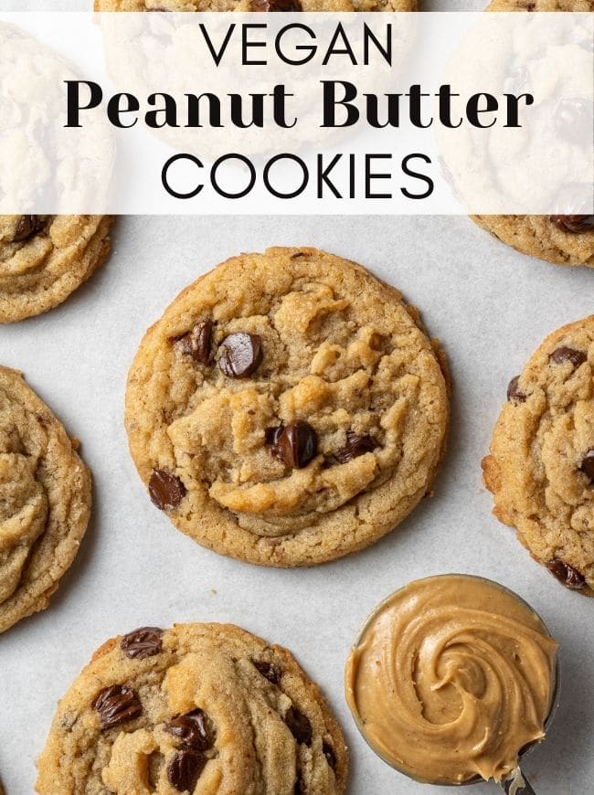 VEGAN PEANUT BUTTER CHOCOLATE CHIP COOKIES Cookie Dough Diaries