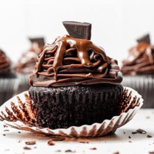 chocolate fudge cupcake centered with other cupcakes behind it