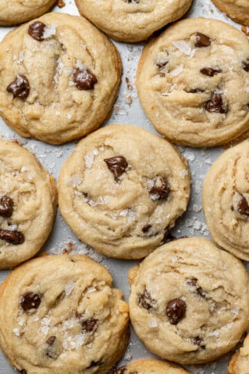Chocolate Chip Cookies Without Butter (No Chill!) - Cookie Dough Diaries