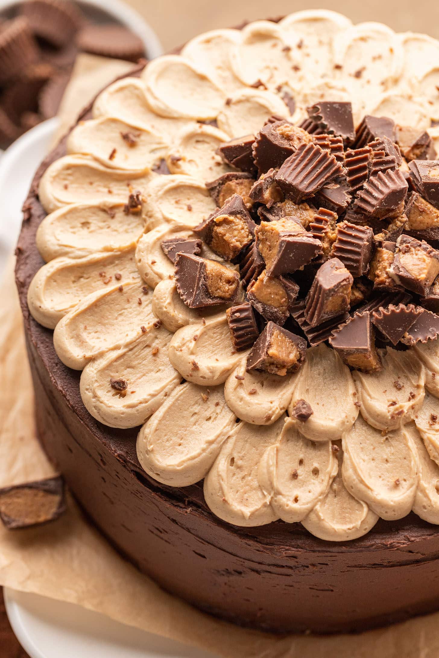 Close-up overhead view of a fully frosted chocolate peanut butter cake decorated with piped peanut butter buttercream rosettes and topped with chopped Reese's peanut butter cups