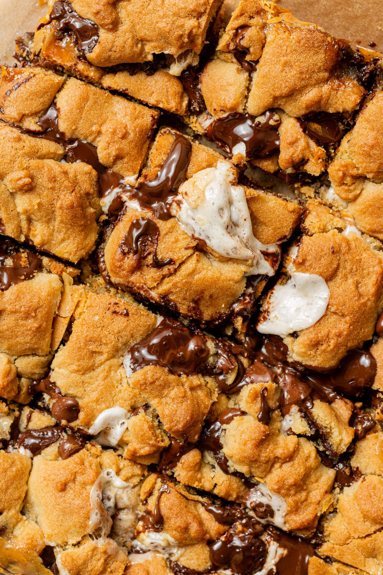 Overhead close-up of baked s'mores cookie bars cut into squares, with gooey melted chocolate and toasted marshmallow oozing between the golden cookie layers